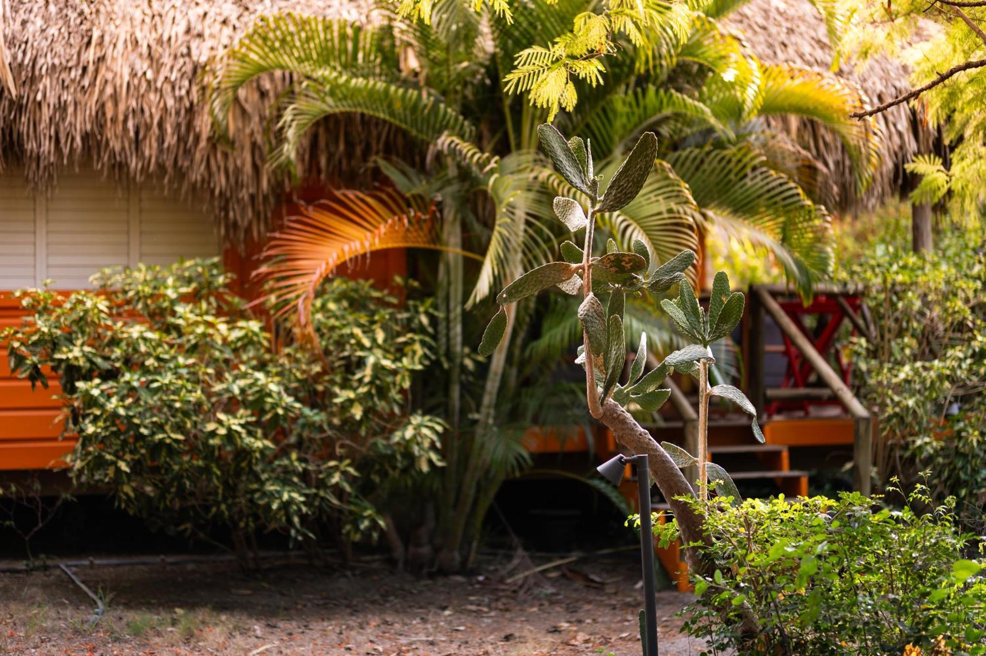 Mondi Lodge Dorp Dorp Sint Michiel Extérieur photo
